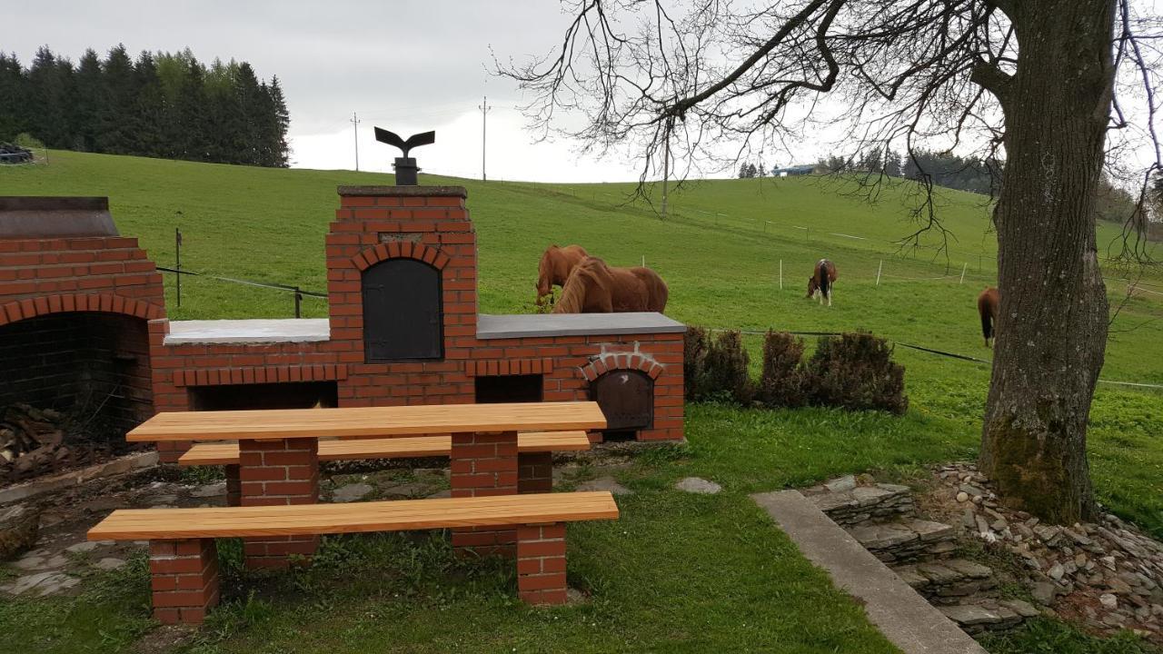 Knezice 25, Chalupa V Krkonosich Vrchlabí Extérieur photo